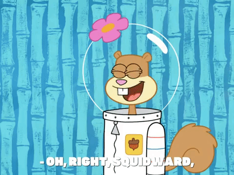 season 7 episode 20 GIF by SpongeBob SquarePants