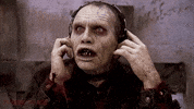 Day Of The Dead Zombies GIF by Filmin