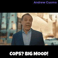 New York Vote GIF by Andrew Cuomo