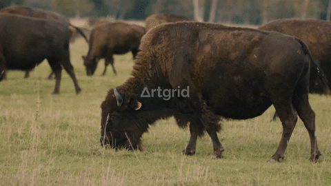 kidran giphygifmaker GIF