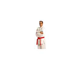 FSAKM instagram kravmaga mestre kobi Sticker