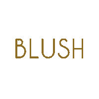 blush-conceptstore blush blush concept store blushconceptstore Sticker