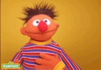 GIF by NDR