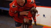 Ice Hockey Sport GIF by NHL