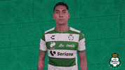 clubsantos  GIF