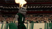 Ea Sports Football GIF by Xbox