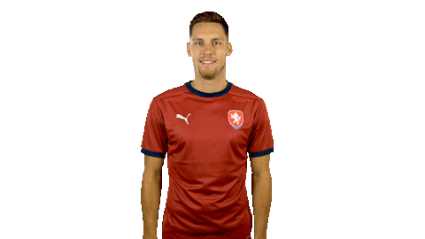 Goal Ceskarepre Sticker by 2score