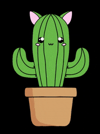 ShahMiow cactus GIF