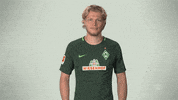 come on football GIF by Bundesliga