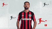 Excuse Me Hello GIF by Bundesliga