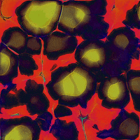 animation love GIF by POST-WEB