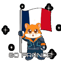 France Football Sticker by Hamieverse