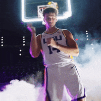 College Basketball Sport GIF by LSU Tigers