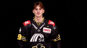 Hockey Del2 GIF by Krefeld Pinguine