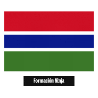 The Gambia Flag Sticker by Formación Ninja