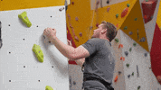 worcswarriors wall climbing worcester warriors niall annett GIF