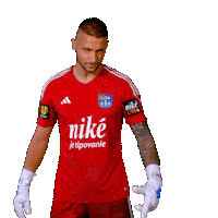 Football Soccer Sticker by Nike liga