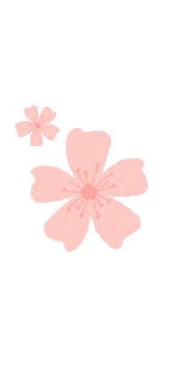Cherry Blossom Pink Sticker