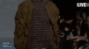 vivienne tam nyfw feb 2017 GIF by NYFW: The Shows