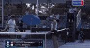 Wta Russians GIF