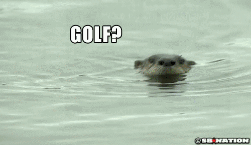 Golf Otter GIF by SB Nation