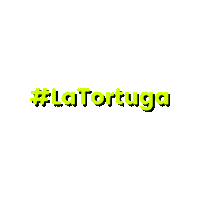 ConBiVe venezuela conbive drai cabello la tortuga Sticker