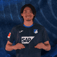 Sport Bundesliga GIF by TSG Hoffenheim