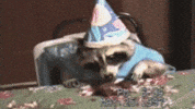 happy birthday GIF