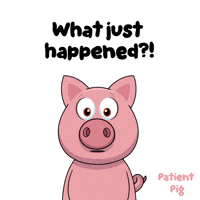 Whats Going On Wtf GIF by VeeFriends