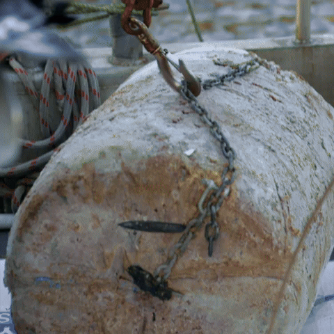 Licking Frozen 500lb Tuna Chunk