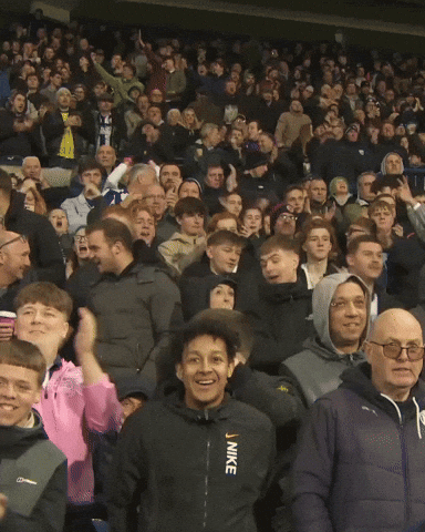 West Brom Fans GIF by West Bromwich Albion