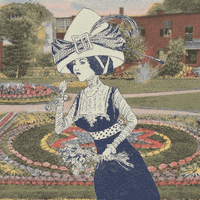 Hungry Flowers GIF