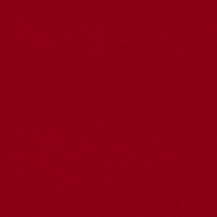 Go Cards Birdie GIF by Louisville Cardinals