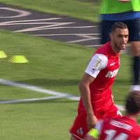 1 Fc Cologne Football GIF by 1. FC Köln