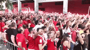 vamos come on GIF by Sevilla Fútbol Club