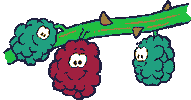 page blog STICKER