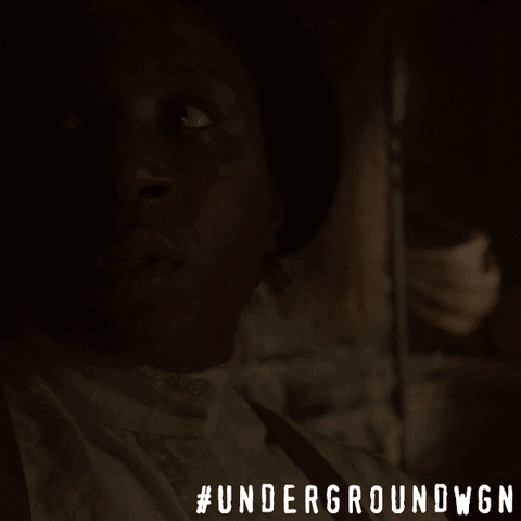 harriet tubman drama GIF by Underground