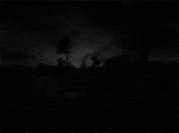 how could i leave thsi out f. w. murnau GIF by Maudit