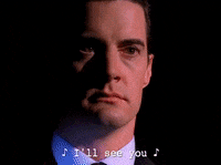 Season 2 Episode 22 GIF by Twin Peaks on Showtime