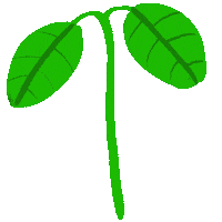 Plants Plantlife Sticker by yourShrimp