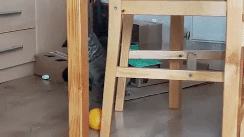 Migatapersa giphygifmaker GIF