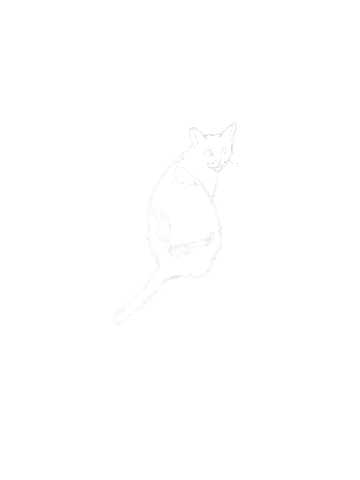 r5dh84bmyqLUANWENTINGMIA giphyupload cat white 白 Sticker