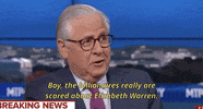 Elizabeth Warren GIF