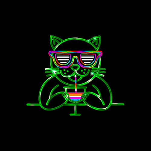 cat party GIF by Omer