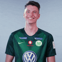 fifa 18 football GIF by VfL Wolfsburg