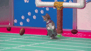 Football Playing GIF by Hallmark Channel