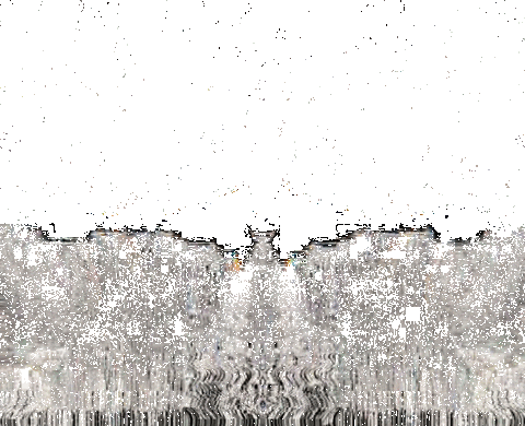 STICKER by Leo Pyrata