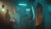 Oscar GIF by Telecine