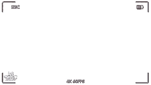 Web Dcb Sticker by DEL COUNTRY BROTHERS