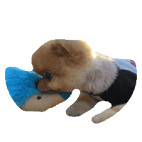 puppie STICKER by imoji